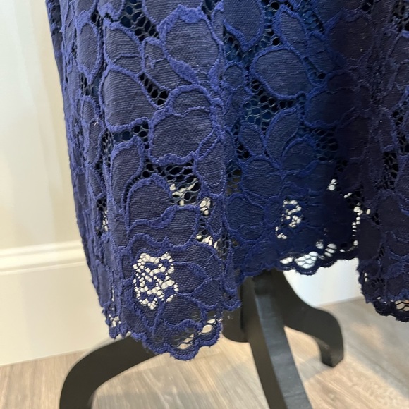 Navy Laced Overlay Dress - Picture 5 of 10